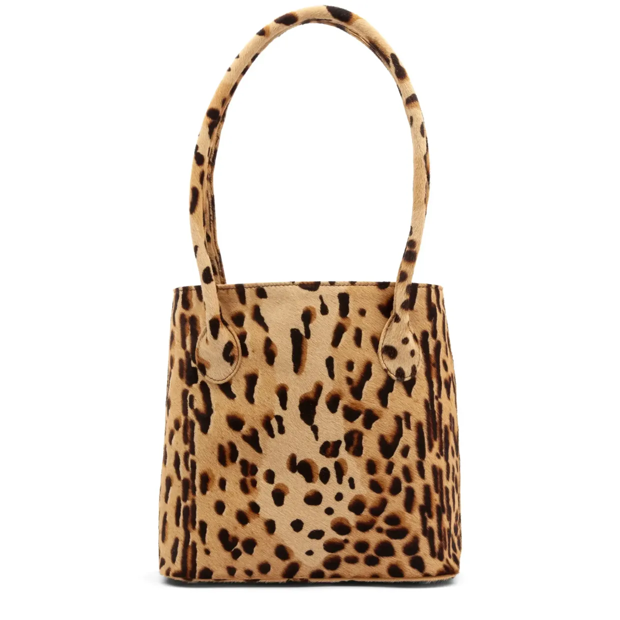 Sara - Leopard