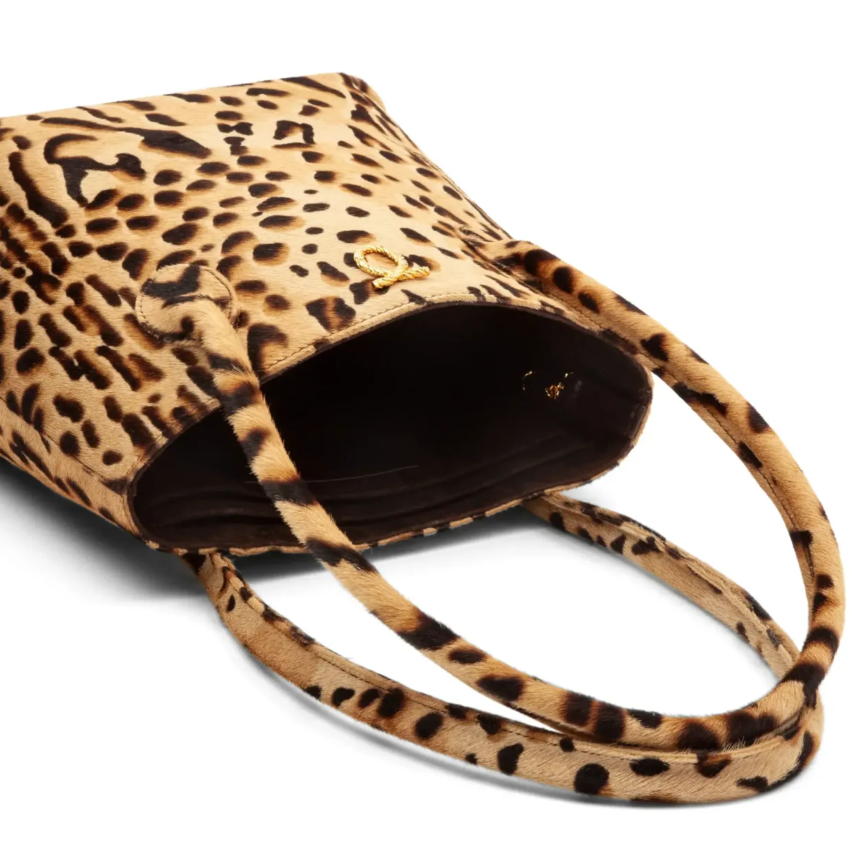 Sara - Leopard