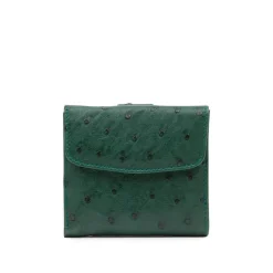 Tulip – Green (Ostrich)