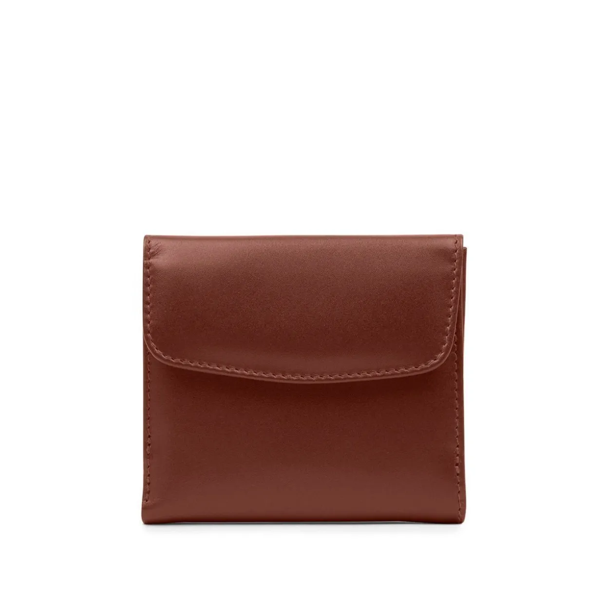 Tulip – Tan
